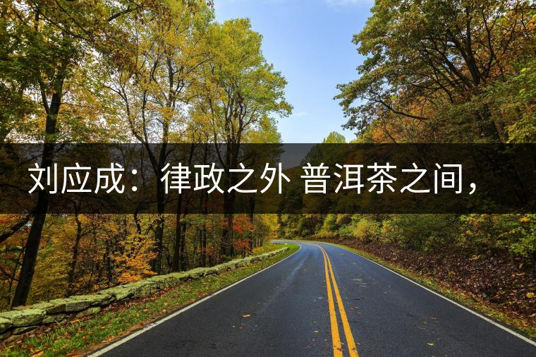 劉應(yīng)成：律政之外 普洱茶之間，在峨毛茶上的三個首創(chuàng)