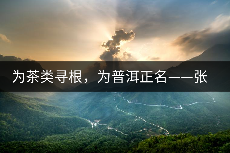 為茶類尋根，為普洱正名——張宏達(dá)的普洱茶研究