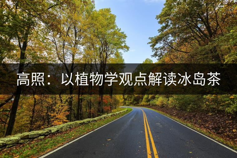 高照：以植物學觀點解讀冰島茶