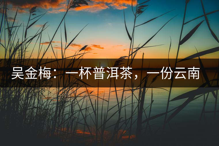 吳金梅：一杯普洱茶，一份云南情