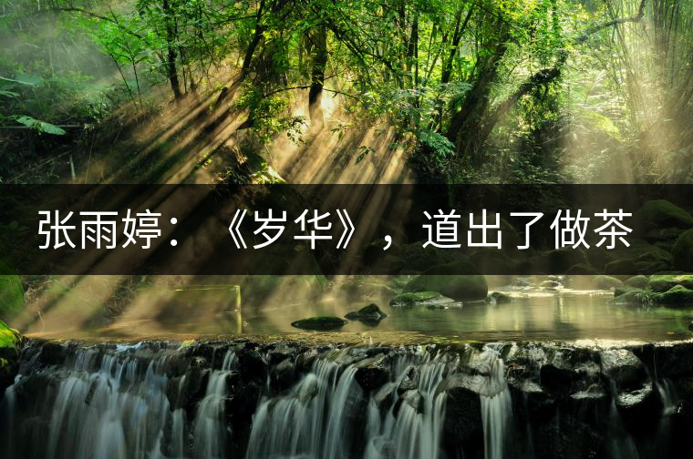 張雨婷：《歲華》，道出了做茶人的寂寞