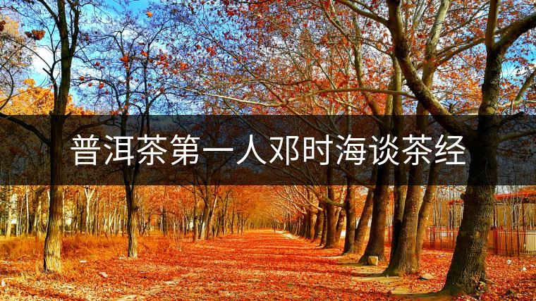 普洱茶第一人鄧時海談茶經(jīng) 普洱茶第一人鄧時海談茶經(jīng)