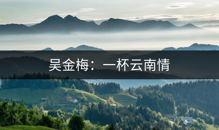 吳金梅:一杯云南情 吳金梅:一杯云南情