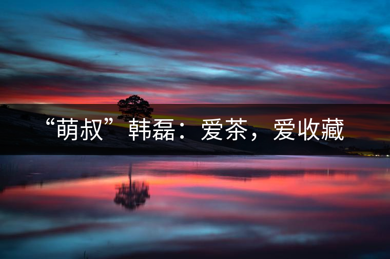 “萌叔”韓磊：愛茶，愛收藏