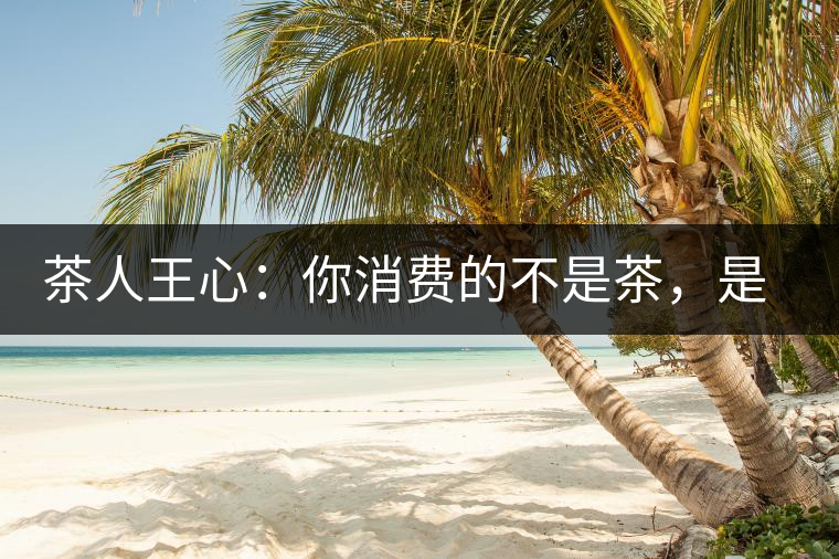 茶人王心：你消費的不是茶，是我