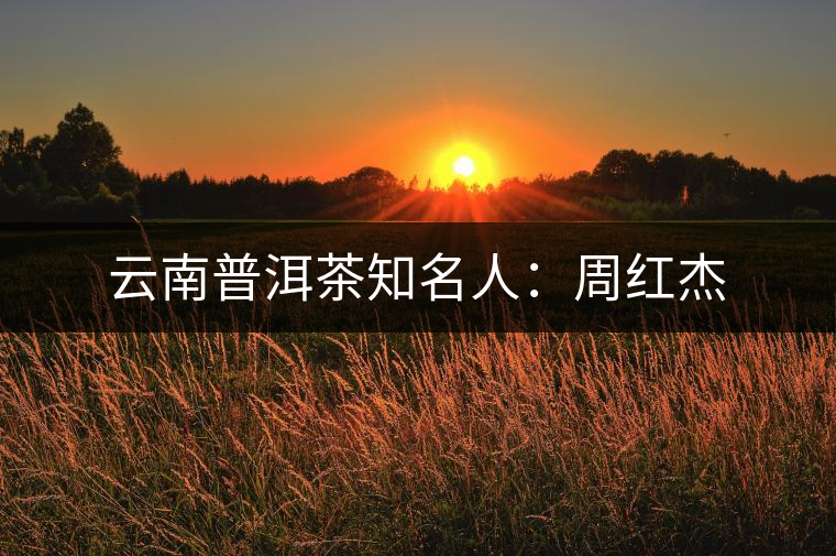 云南普洱茶知名人：周紅杰