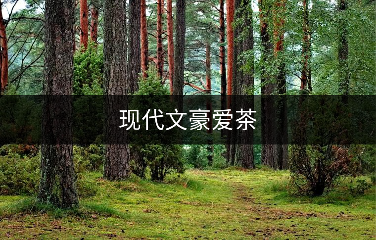 現(xiàn)代文豪愛(ài)茶