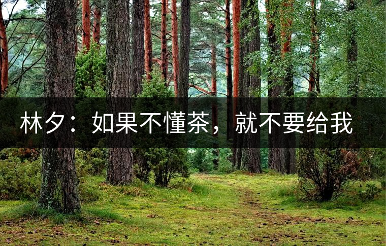 林夕：如果不懂茶，就不要給我送茶