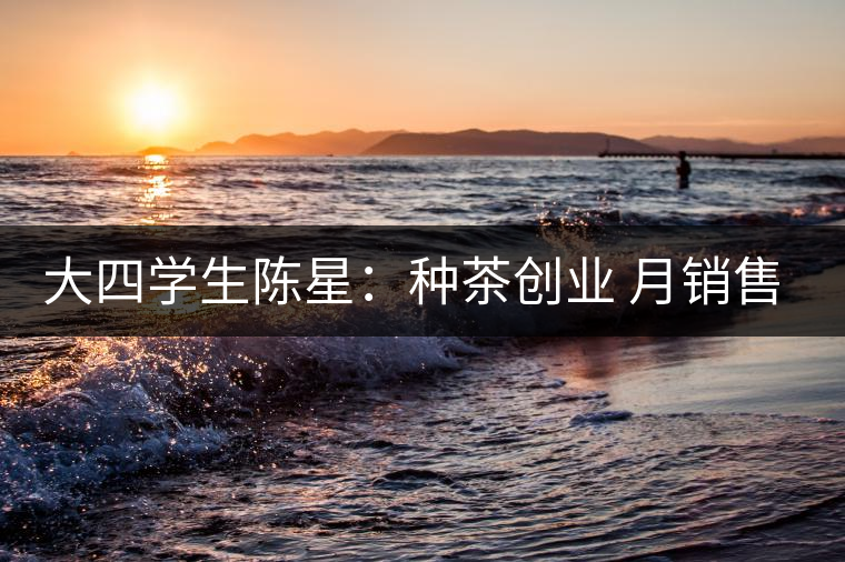大四學(xué)生陳星:種茶創(chuàng)業(yè) 月銷售額超五十萬 大四學(xué)生陳星:種茶創(chuàng)業(yè) 月銷售額超五十萬