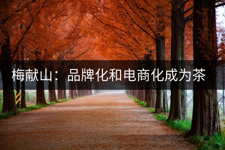 梅獻山：品牌化和電商化成為茶產(chǎn)業(yè)的第三個轉(zhuǎn)機