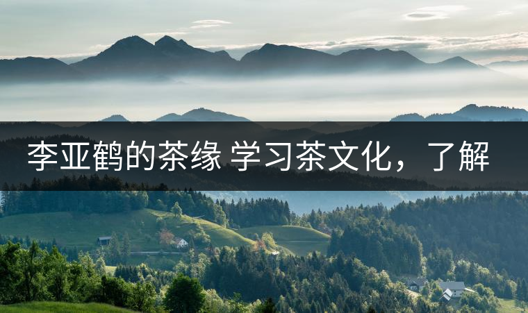 李亞鶴的茶緣 學(xué)習(xí)茶文化，了解茶文化，品味茶文化