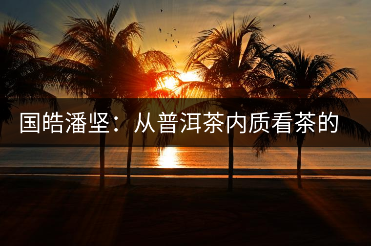 國(guó)皓潘堅(jiān)：從普洱茶內(nèi)質(zhì)看茶的好壞