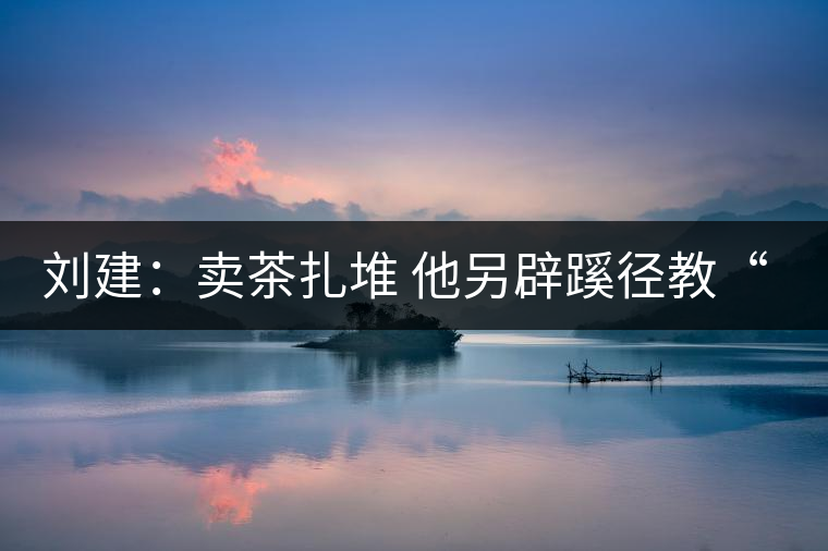 劉建:賣茶扎堆 他另辟蹊徑教“泡茶” 劉建:賣茶扎堆 他另辟蹊徑教“泡茶”
