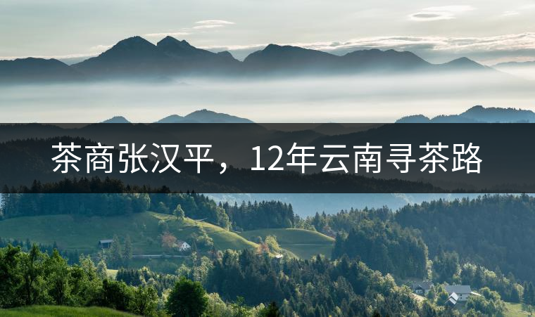 茶商張漢平，12年云南尋茶路