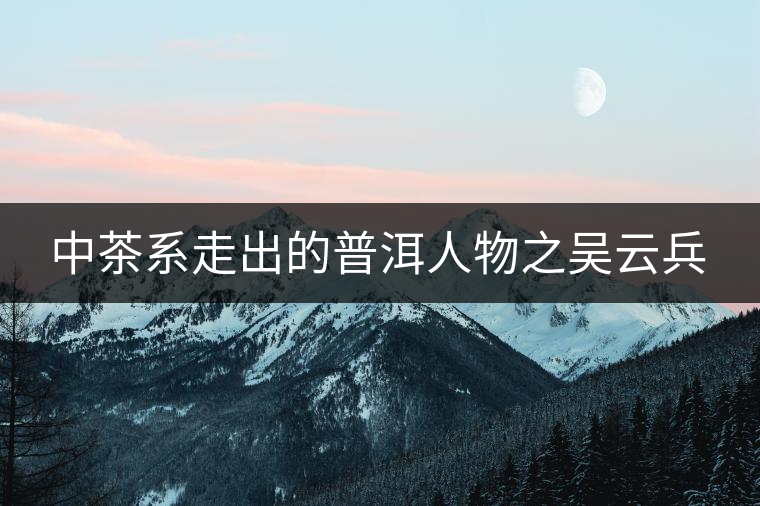 中茶系走出的普洱人物之吳云兵 中茶系走出的普洱人物之吳云兵