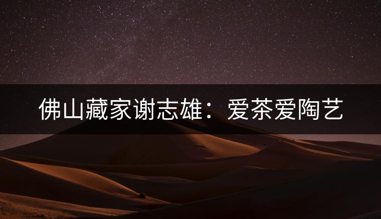 佛山藏家謝志雄:愛茶愛陶藝 佛山藏家謝志雄:愛茶愛陶藝