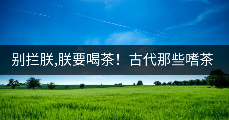 別攔朕,朕要喝茶！古代那些嗜茶如命的皇帝