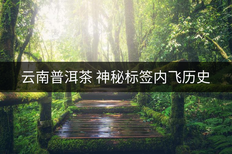 云南普洱茶 神秘標簽內飛歷史 云南普洱茶 神秘標簽內飛歷史
