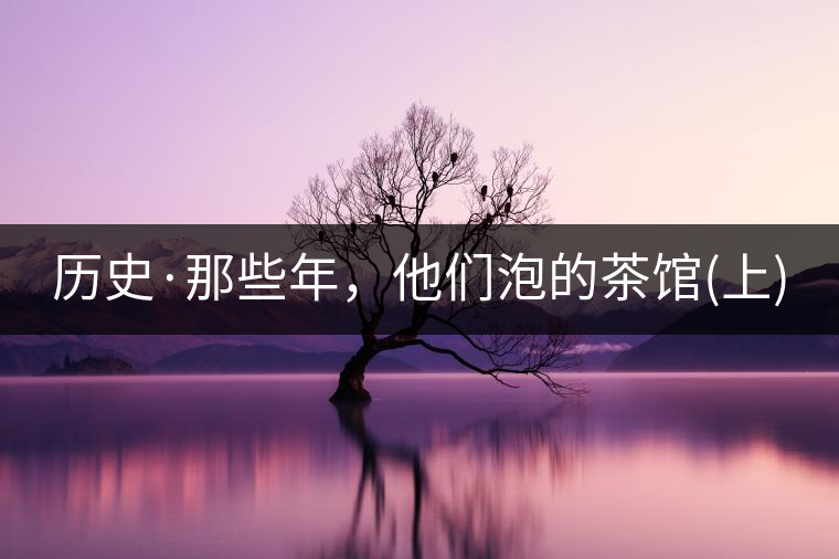 歷史·那些年，他們泡的茶館(上)