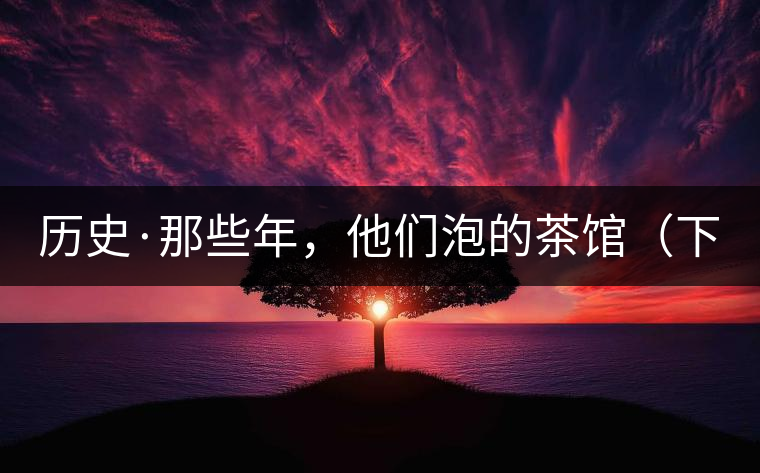 歷史·那些年，他們泡的茶館（下）