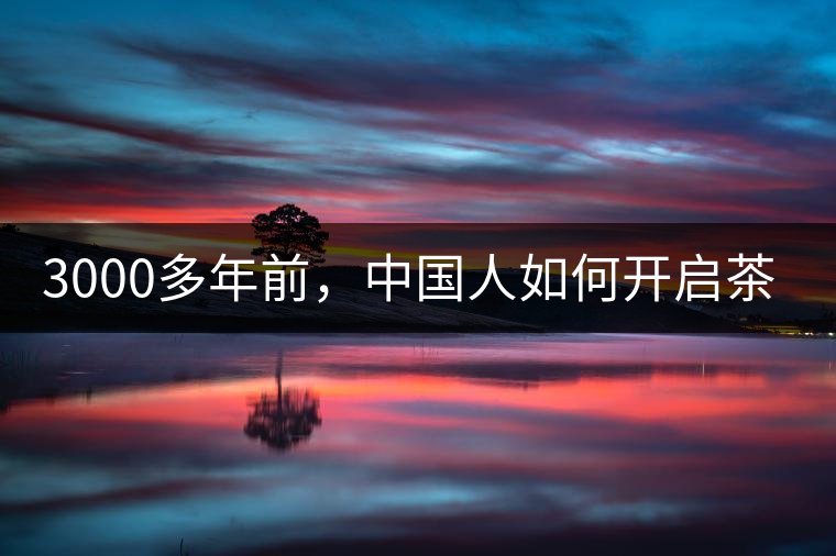 3000多年前，中國人如何開啟茶生活？