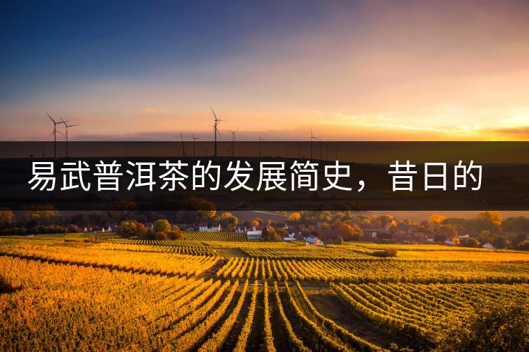 易武普洱茶的發(fā)展簡(jiǎn)史，昔日的貢茶如今依然輝煌