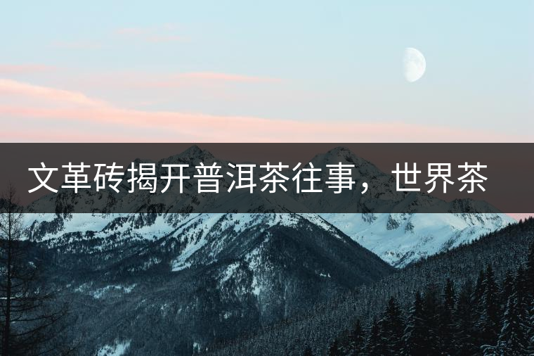 文革磚揭開普洱茶往事，世界茶文化交流協(xié)會成員共品經(jīng)典文革磚！