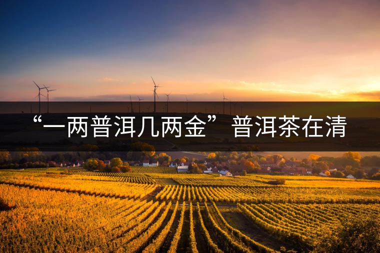 “一兩普洱幾兩金”普洱茶在清代為啥這么火？！