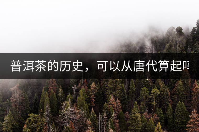 普洱茶的歷史，可以從唐代算起嗎？