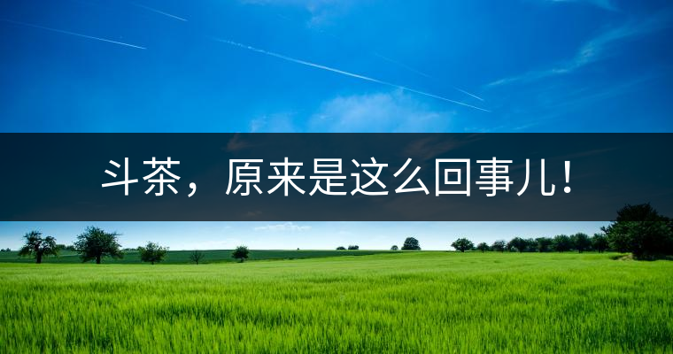 斗茶，原來(lái)是這么回事兒！