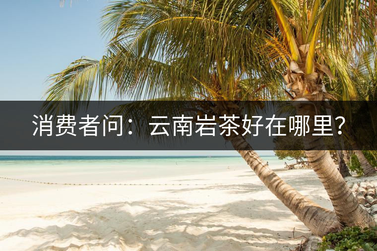 消費(fèi)者問(wèn)：云南巖茶好在哪里？