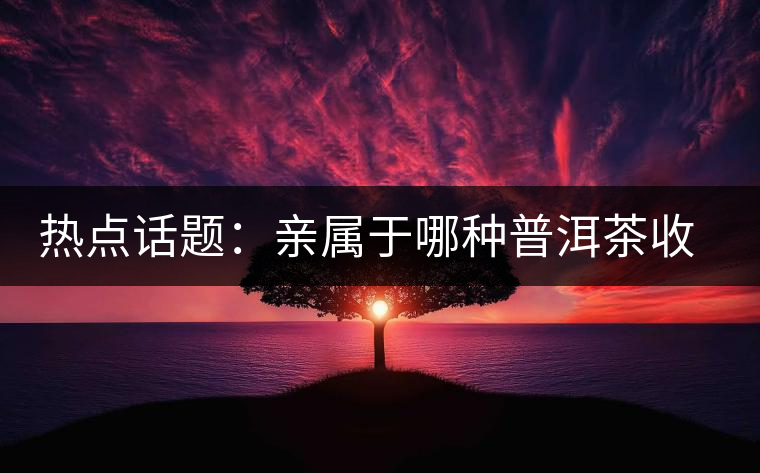 熱點(diǎn)話題：親屬于哪種普洱茶收藏者？