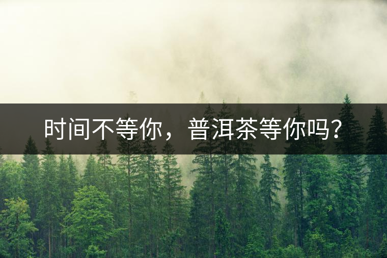 時間不等你，普洱茶等你嗎？