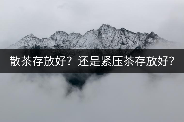 散茶存放好？還是緊壓茶存放好？