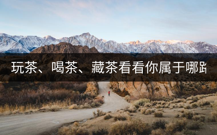 玩茶、喝茶、藏茶看看你屬于哪路茶神！