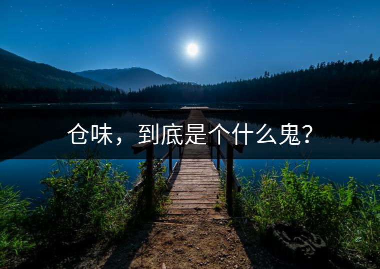 倉味，到底是個什么鬼？