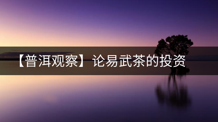 【普洱觀察】論易武茶的投資價值