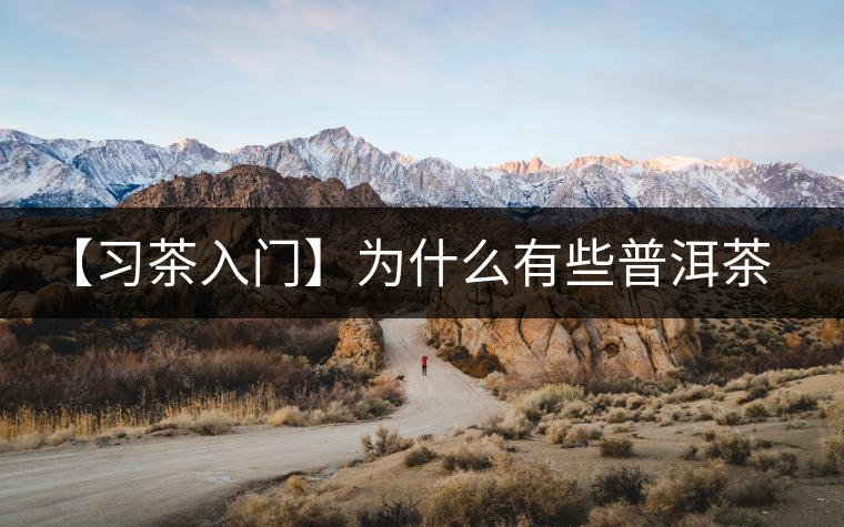 【習(xí)茶入門】為什么有些普洱茶會發(fā)酸？