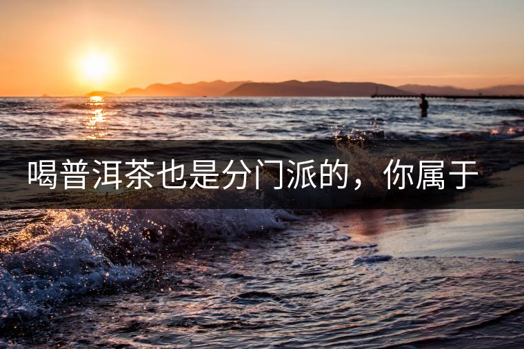 喝普洱茶也是分門(mén)派的，你屬于哪派呢？