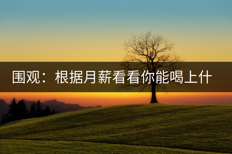 圍觀：根據(jù)月薪看看你能喝上什么茶？