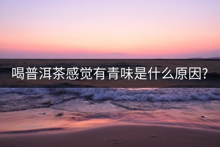 喝普洱茶感覺有青味是什么原因?