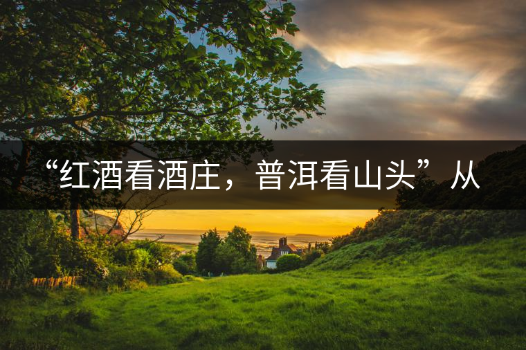 “紅酒看酒莊，普洱看山頭”從這里秒懂普洱茶的未來(lái)