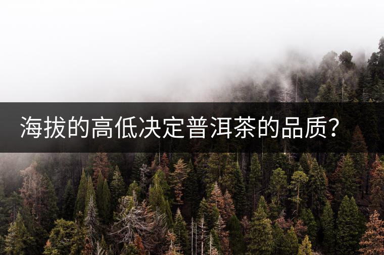 海拔的高低決定普洱茶的品質(zhì)？【附：名山頭茶海拔表】