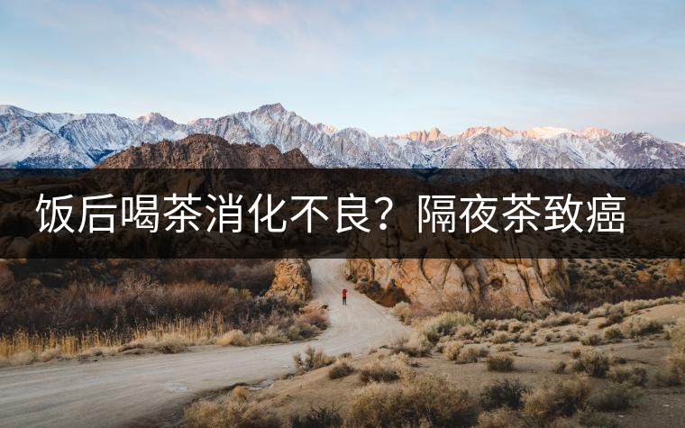 飯后喝茶消化不良？隔夜茶致癌？9個喝茶流言你該好好分個真假