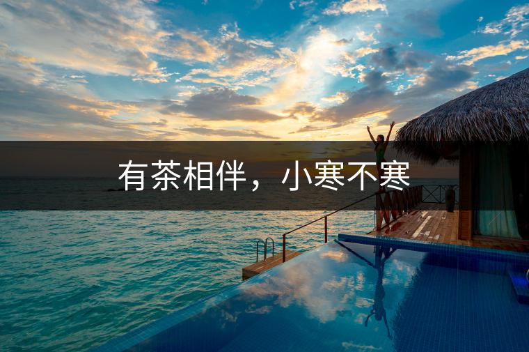 有茶相伴，小寒不寒