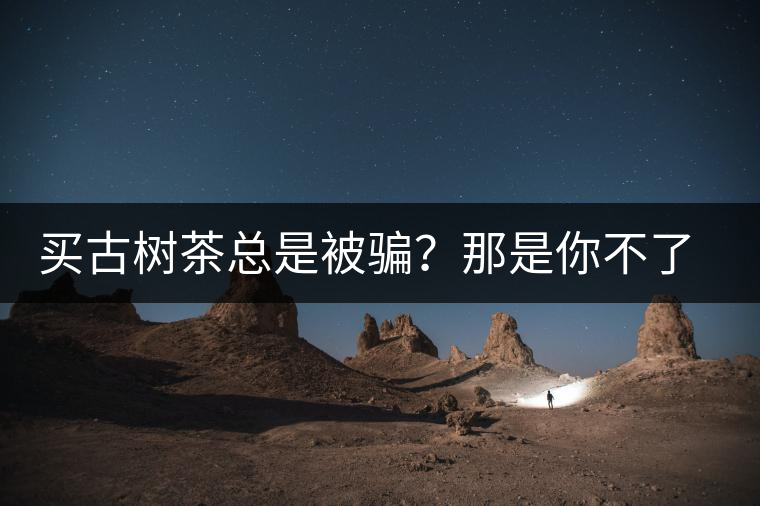 買(mǎi)古樹(shù)茶總是被騙？那是你不了解古樹(shù)茶的十大真相