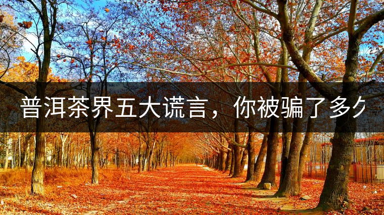 普洱茶界五大謊言，你被騙了多久？