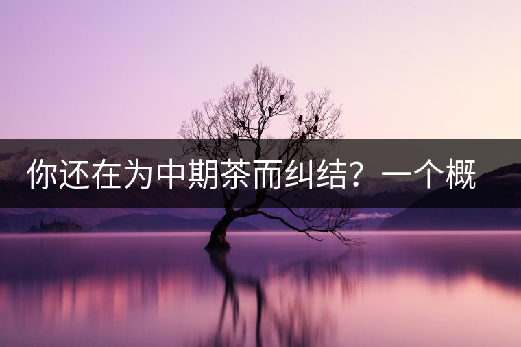 你還在為中期茶而糾結(jié)？一個(gè)概念罷了