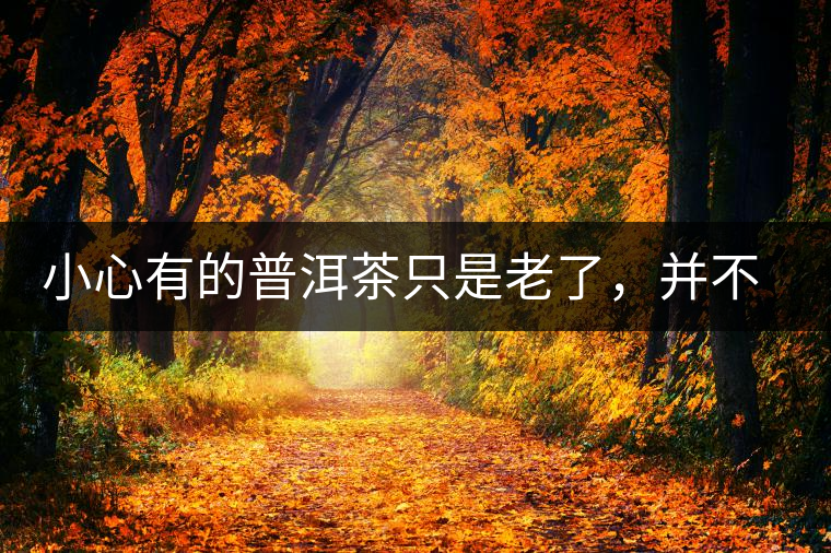 小心有的普洱茶只是老了，并不是好了