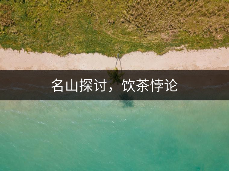 名山探討，飲茶悖論